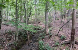 0 Hully Bridge Rd Lot 4, Buffalo, SC 29321