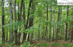 Fall Creek Meadows Lane, Elk Park, NC 28622