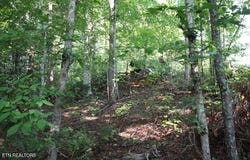 523 Rudd Hollow Rd, Townsend, TN 37882