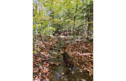Off WIlligar Road, Island Falls, ME 04747