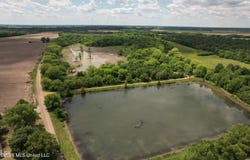 Jenkins Road, Alligator, MS 38720