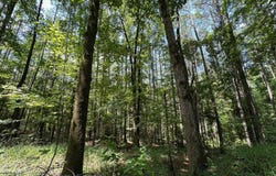 1 Rockport Rd, Lexington, MS 39095