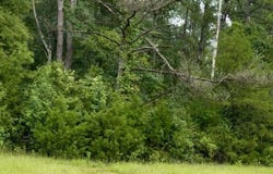 Us-51, Crystal Springs, MS 39059