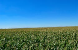 State Hwy 89, Holly, CO 81047