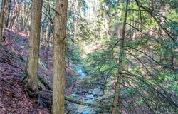 9598 Sisson Highway, Eden, NY 14057