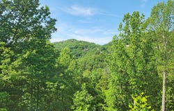 3059 Engle Town Road, Sevierville, TN 37862