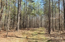 05 Bolton, Zebulon, GA 30295