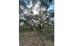 5797 N McKree Terrace, Crystal River, FL 34428