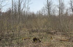 00 Townline Rd, Linesville, PA 16424