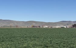 Ferrel, Weiser, ID 83672