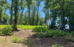 Wilderness Road, Hays, NC 28635