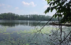 W2597 HOLLISTER RD E, White Lake, WI 54491