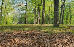 1461 Spirea Court, North Vernon, IN 47265
