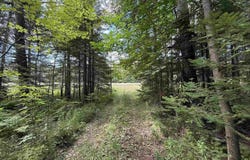 38.14 Acres US Highway 2, Gulliver, MI 49840