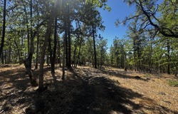 31 Oak Meadow WAY, Goldendale, WA 98620