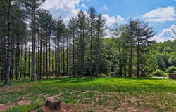 TBD Dogwood LN, Willis, VA 24380