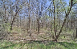 Cedar St, Breezy Point, MN 56472
