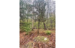 Lot 23 Hemlock Road, Kunkletown, PA 18058