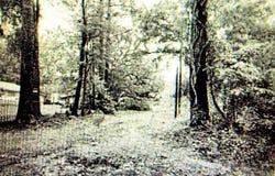 CHEMEKETTE RD lot: 1,3, Robert, LA 70455