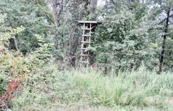 Tbd Woodland Drive, Seneca, MO 64865