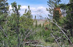 Livermore, CO 80536