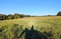 Daniels Run Road, Check, VA 24072