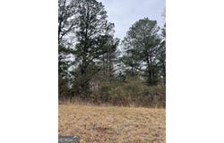 0 TRICE CEMETERY RD, HERITAGE, Thomaston, GA 30286