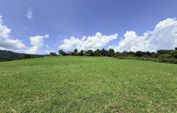 Perkins Tr, Jacksboro, TN 37757