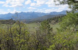 1000 Perry Dr., Pagosa Springs, CO 81147