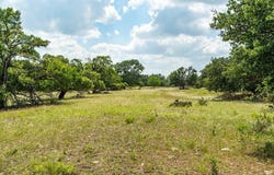 21975 FM 2093, Harper, TX 78631