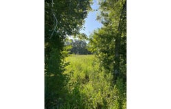 TBD Baudoin Rd, Maurice, LA 70555
