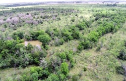 Tbd LCR 663, Kosse, TX 76653