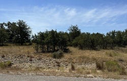 234 Roy Nichols, Blanco, TX 78606