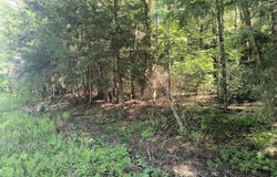 OLD HWY 2 lot: 6, Watersmeet, MI 49938