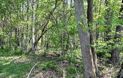 Royal Street, Midvale, OH 44653