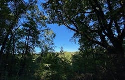 Partridge Tr, Grandview, TN 37337