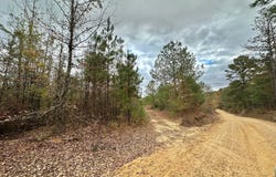 County Road 3122, McCool, MS 39108
