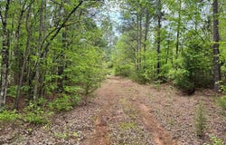 Tbd County Road 2742, Naples, TX 75568