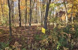 9160 Kingsley Drive, Onsted, MI 49265