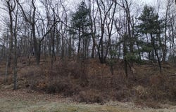 611 OLD DANVILLE HWY, NORTHUMBERLAND, PA 17857