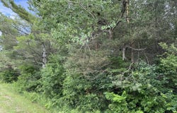 E Victory WAY, Newberry, MI 49868