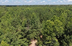 Tract 4 CR 4320, DeKalb, TX 75559