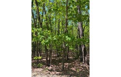 Raven Ridge Trail, Dobson, NC 27017