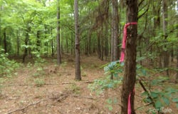 3.25 Ac Slick Rock Road, Chester, SC 29730