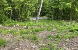 L4.3 Tripoli Road, Kingsbury, NY 12839