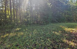 Dodgetown Road, Walnut Cove, NC 27052