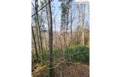 Poplar Ridge Road, Boone, NC 28607