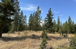 Ranger Rd, Goldendale, WA 98620