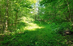 1498 North Hollow Road, Rochester, VT 05767