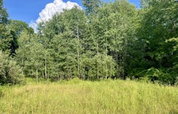1143 38th Street, Allegan, MI 49010